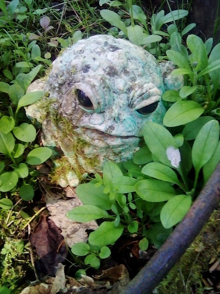 img_20200527_095008_2.jpg?w=768